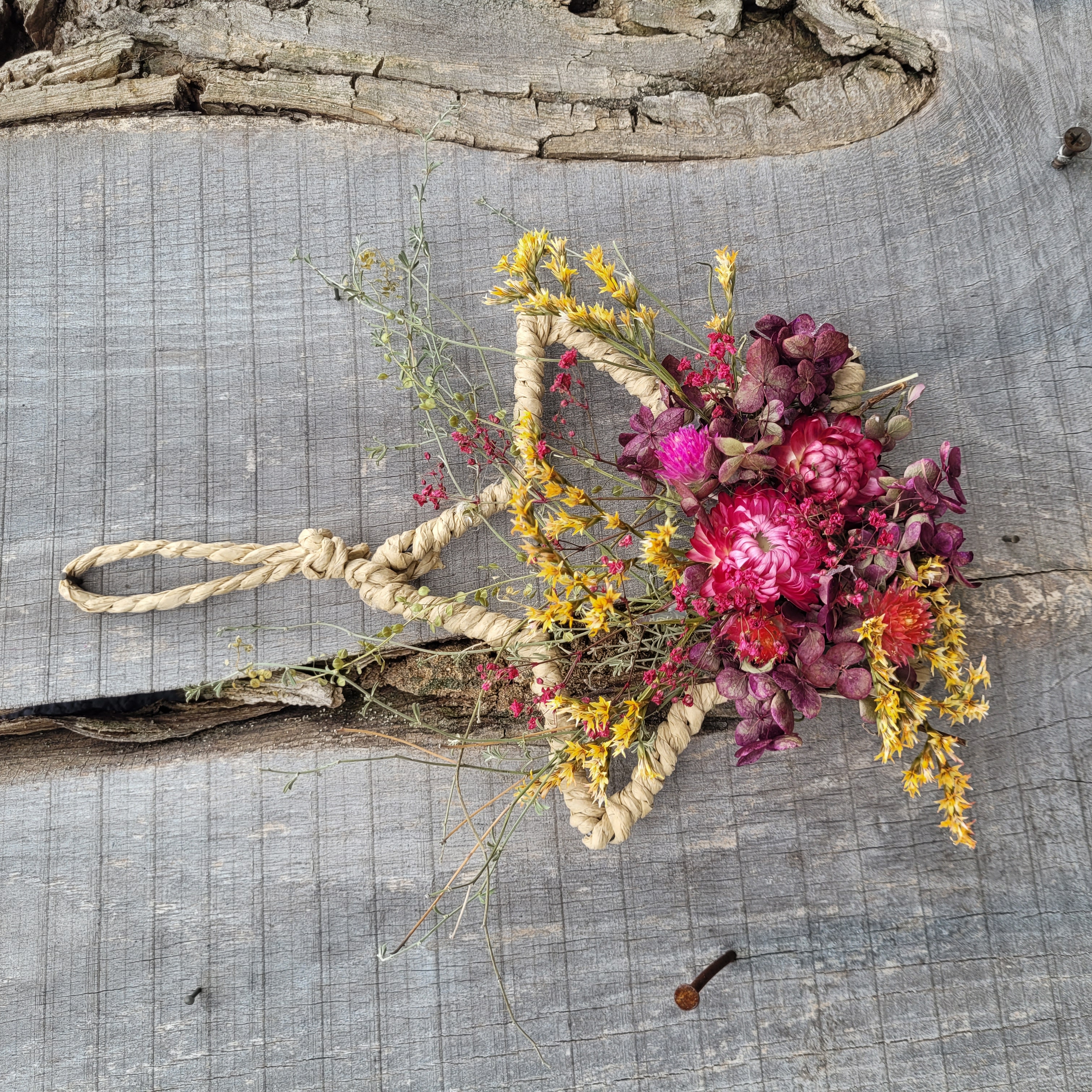 Stern * Trockenblumen * hängend