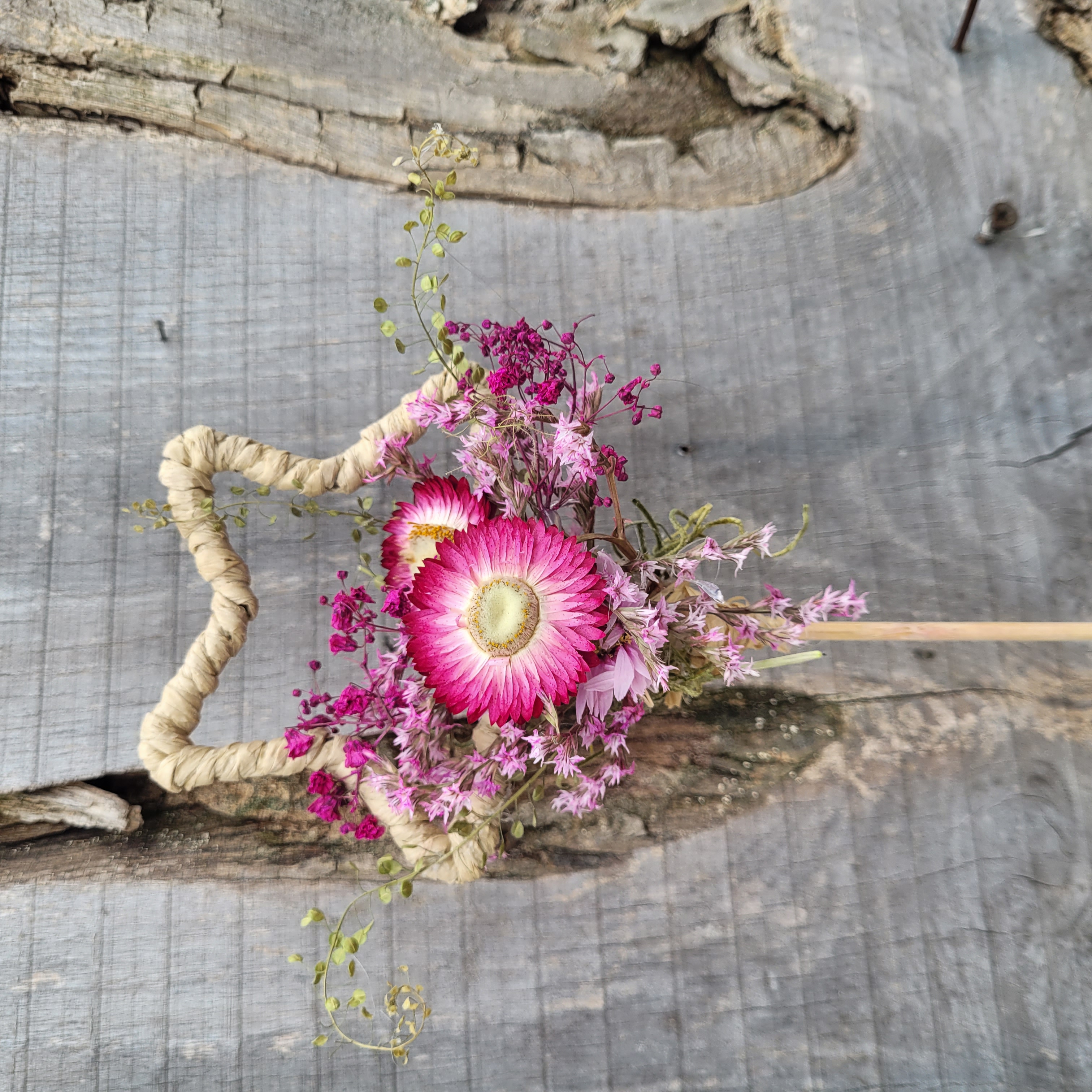 Stern auf Stab * Trockenblumen * Stecker