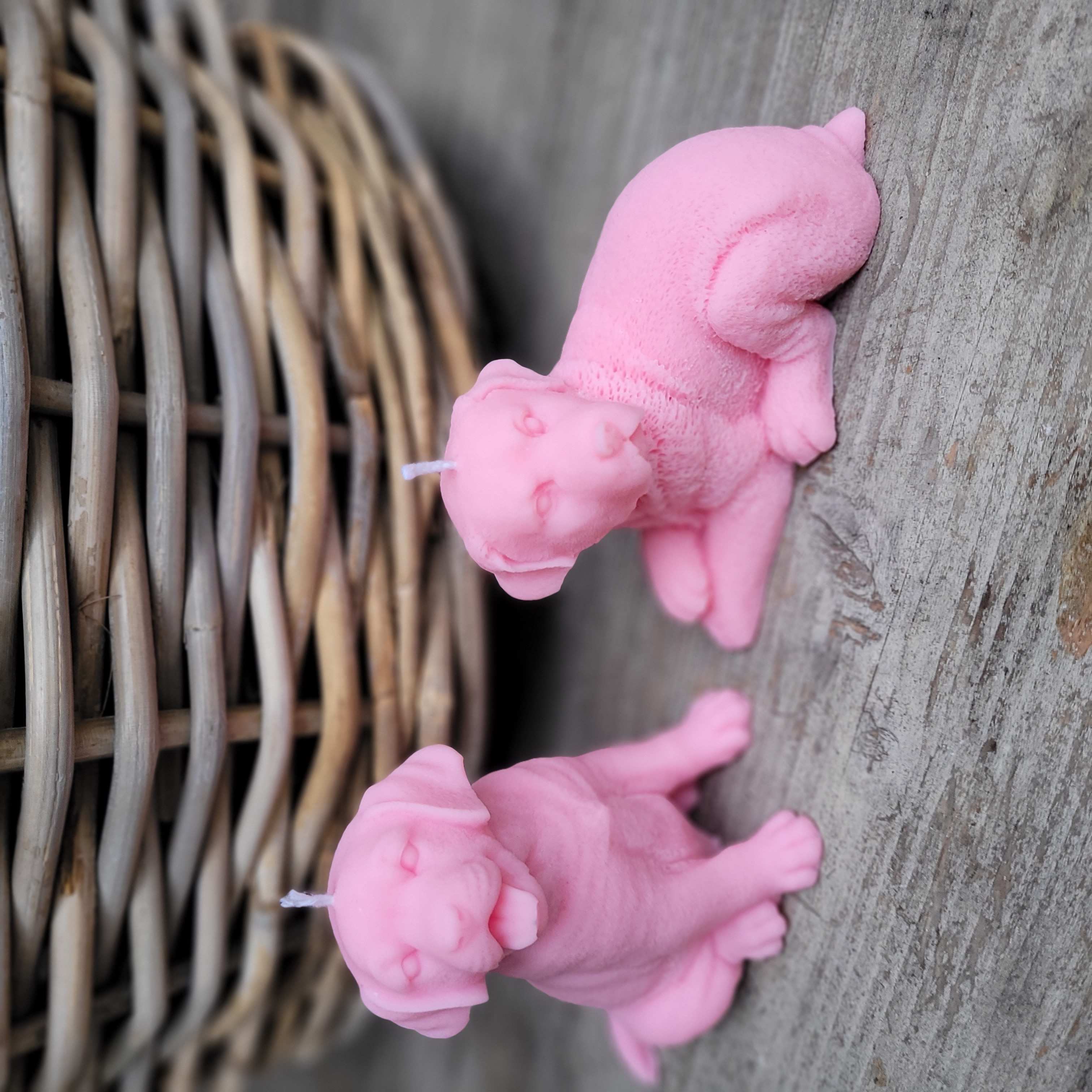 Hundekerze * Rapswachs * Kerze